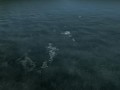 Banned Refracted and Specular water