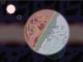 Questverse November Update