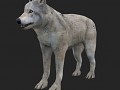 Some of the Lore
