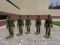 U.S Army Troopers