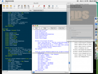 Debugging Digesteroids in the MacOS IDE