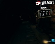 Canalyst Calendar January 2012