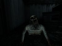 More InGame Shots