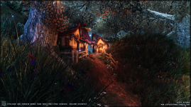 Slum Shacks in the Woods