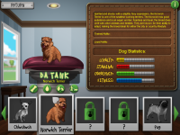 Best in Show Alpha Screens