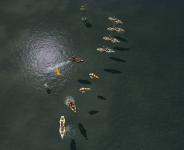 River Mouth screenshots
