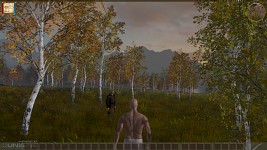 Evening Screen
