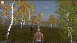 Daylight Screen