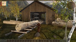 Sawmill