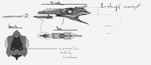 Concepts