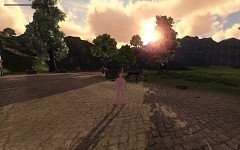 Day / Night cycle