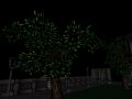 The Park and the Trees