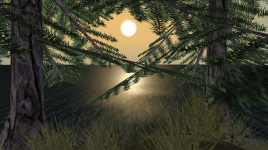 First trees