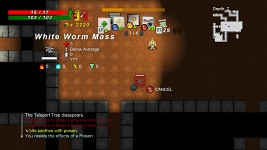 Dungeons of Desloation Screen Shots