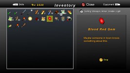 Dungeons of Desolation Screen Shot