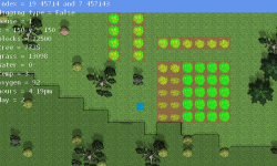 growing wheat