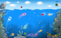 Coloropus wallpapers