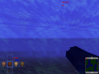 Under Water View