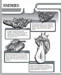 Manual page 2