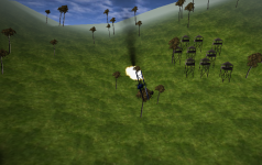 Images of the 3D Models