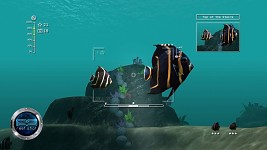 Reef Shot screenshots