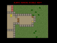 RELEASE VIEW