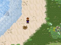 At the beach