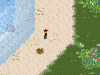 At the beach