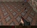 New Rotating Doors (PSP)