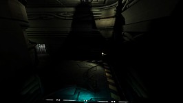 Level 10 Pictures