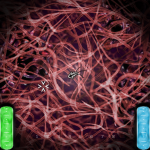 Syndemic Tumor Interior