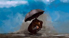 Waiting through the Storm