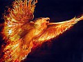 Phoenix Digital Arts