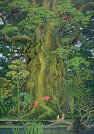 Mana forest