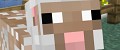 Minecraft 1.1 Update Released