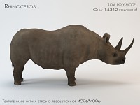 Rhino