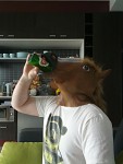 Melbourne Cup 2012