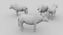 Zebu