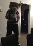bear stuff