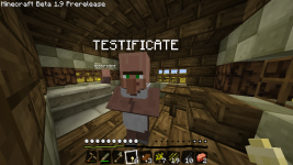NPC's in minecraft!