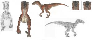 TLWRaptor