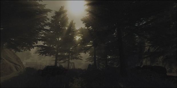 Pine tree