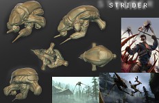 Strider body