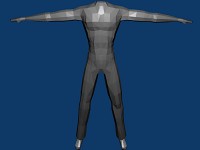 Human model