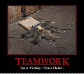 Teamwork