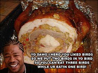 yo-dawg-birds