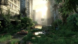 Pictures from: The last of us