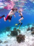 Snorkeling.