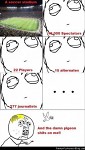 XD