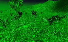 Nightvision